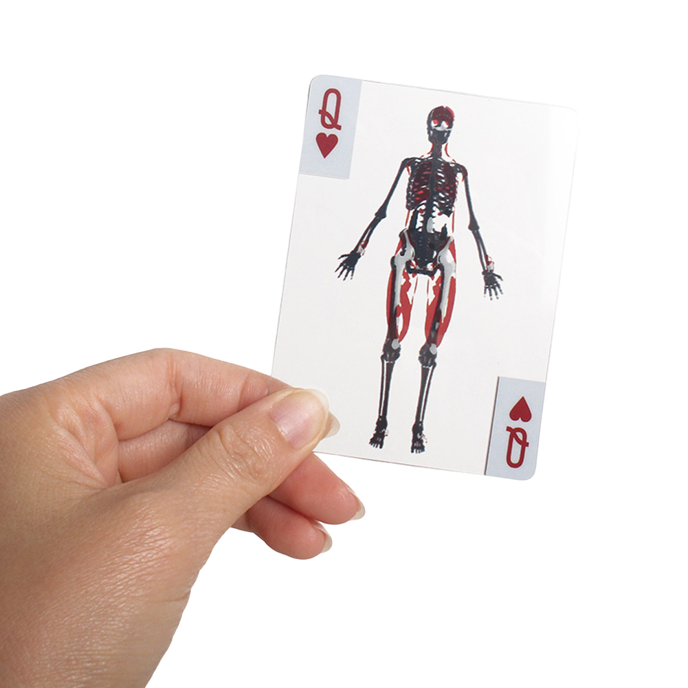 3D Görüntülü Eğitici Kartlar A - Kids Education Images incelemesi ve fiyatı