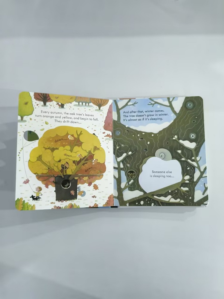Usborne Bir Ağaçın İçine Bakış - Kids Early Education Books incelemesi ve fiyatı