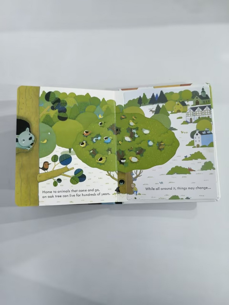 Usborne Bir Ağaçın İçine Bakış - Kids Early Education Books incelemesi ve fiyatı