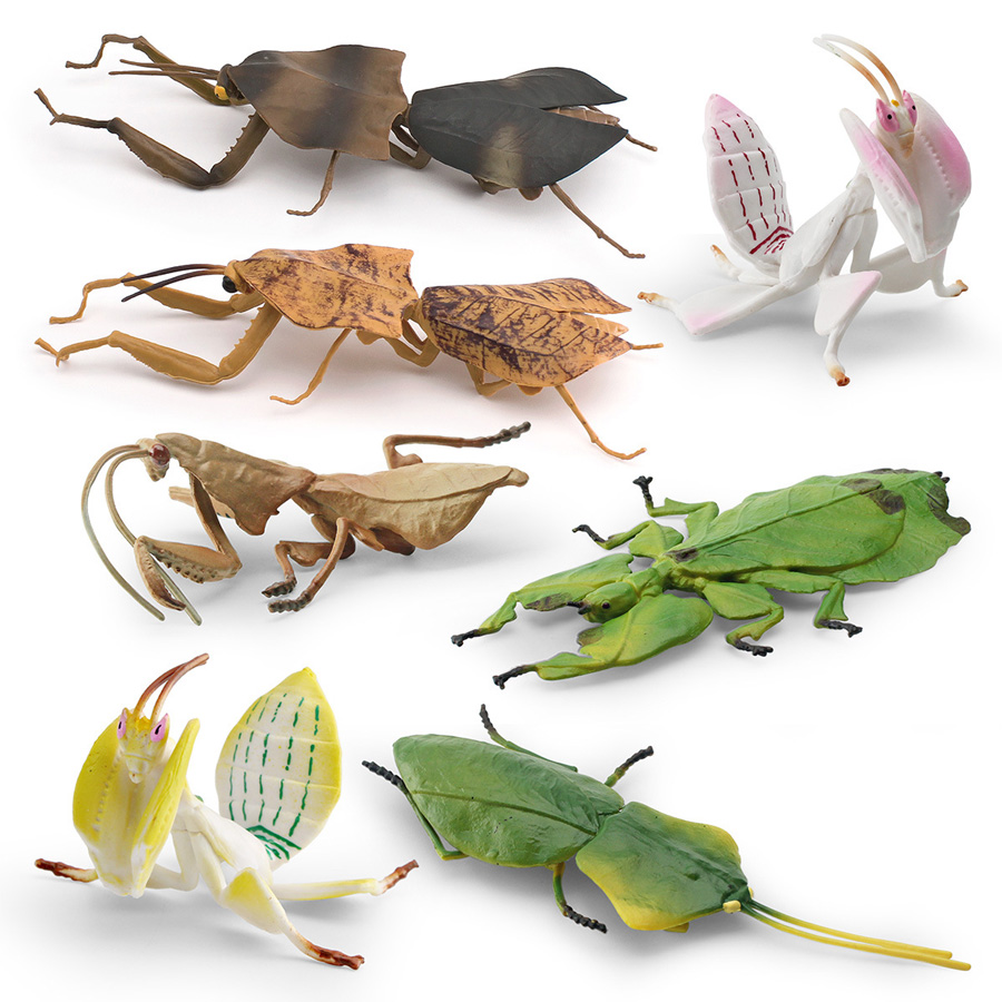 Gerçekçi Orkide Mantis Ölü Yap - Kids Education Picture incelemesi ve fiyatı